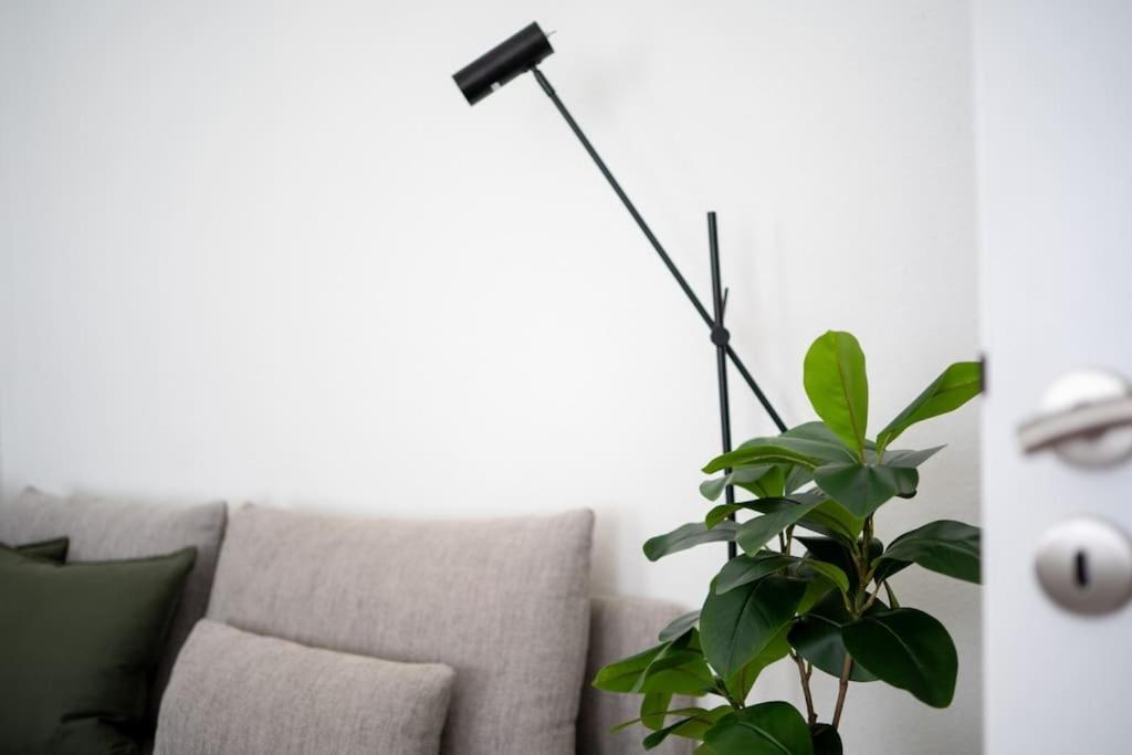 Wohnung Naehe Stadtzentrum Mit Wohnzimmer Und Kueche Coblence Extérieur photo